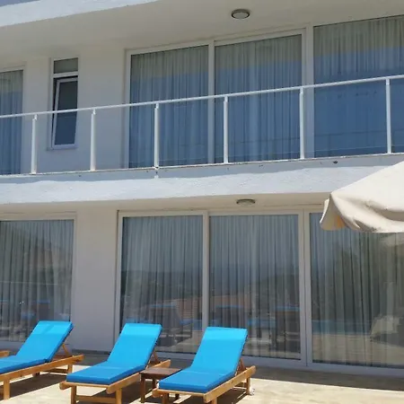 Imagine Renting This Luxury Villavilla Zeytouna Willa
