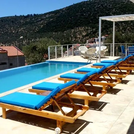 Imagine Renting This Luxury Villavilla Zeytouna Willa